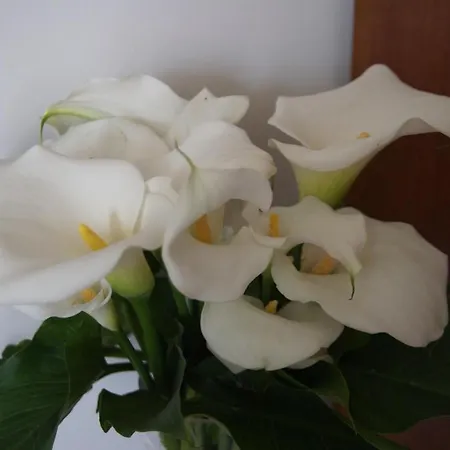 일 그릴로 디 B&B